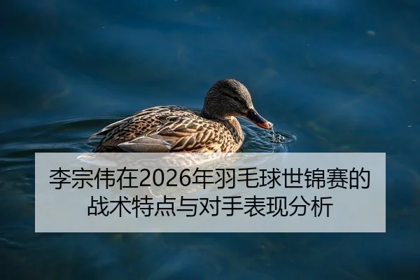 李宗伟在2026年羽毛球世锦赛的战术特点与对手表现分析