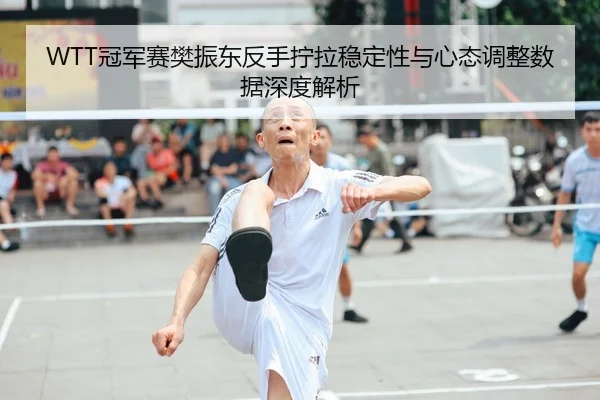 WTT冠军赛樊振东反手拧拉稳定性与心态调整数据深度解析